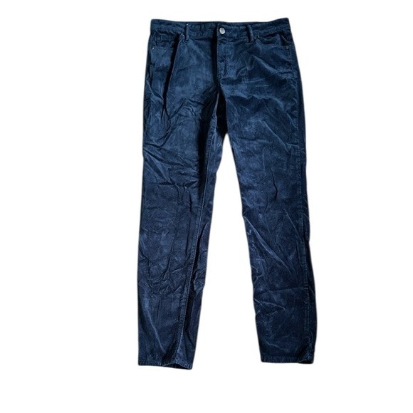 Well Worn Blue Velvet Skinny Pants Size 10/30 - Picture 1 of 8
